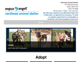 'northeastanimalshelter.org' screenshot
