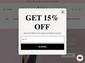 'billlevkoff.com' screenshot