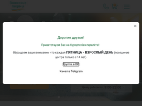 'volgatermy.ru' screenshot