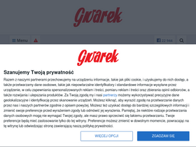 'gwarek.com.pl' screenshot