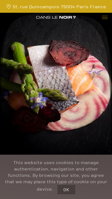 paris.danslenoir.com