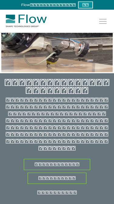 flowwaterjet.jp