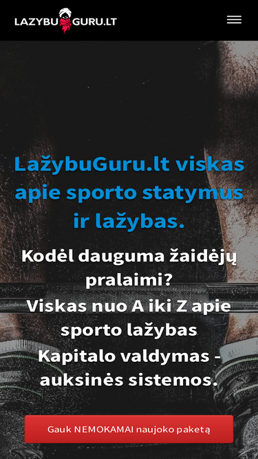 lazybuguru.lt