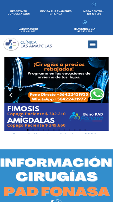 clinicalasamapolas.cl