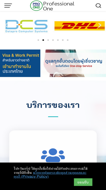 professional-one.com