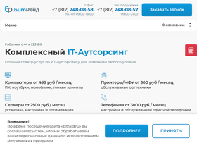 bitraid.ru