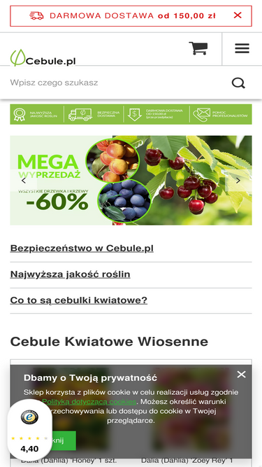 cebule.pl