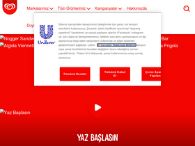 'algida.com.tr' screenshot