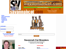 savannahcat.com