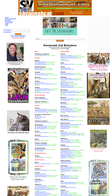 savannahcat.com