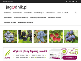 'jagodnik.pl' screenshot