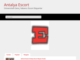 'twincitiesescorts.com' screenshot