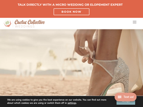 cactus-collective.com