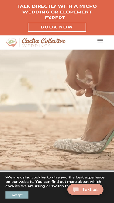 cactus-collective.com