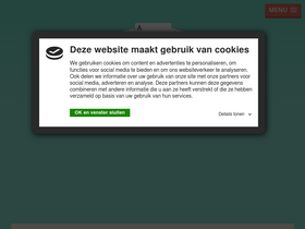'patiencespel.nl' screenshot