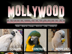 mollywood.org