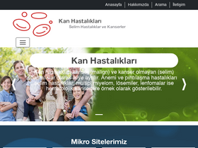 'kanhastaliklari.org.tr' screenshot