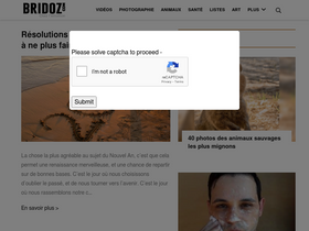 'bridoz.com' screenshot