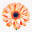 wardsflorist.com