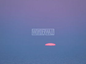 wonderwallmanagement.com