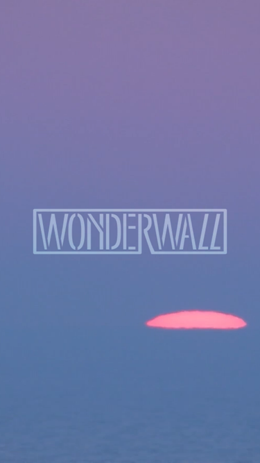 wonderwallmanagement.com