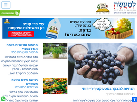 'toraland.org.il' screenshot