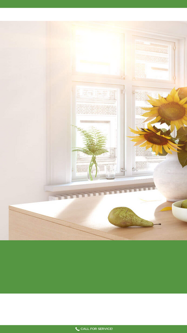 susansgreencleaning.com