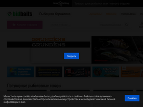'bidbaits.ru' screenshot