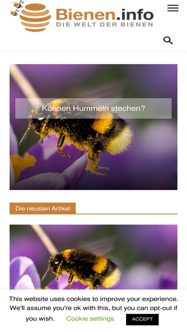 bienen.info