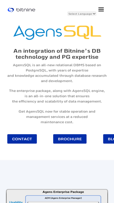 bitnine.net