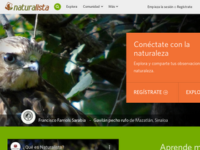 'naturalista.mx' screenshot