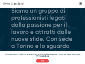 torinoconsulting.it