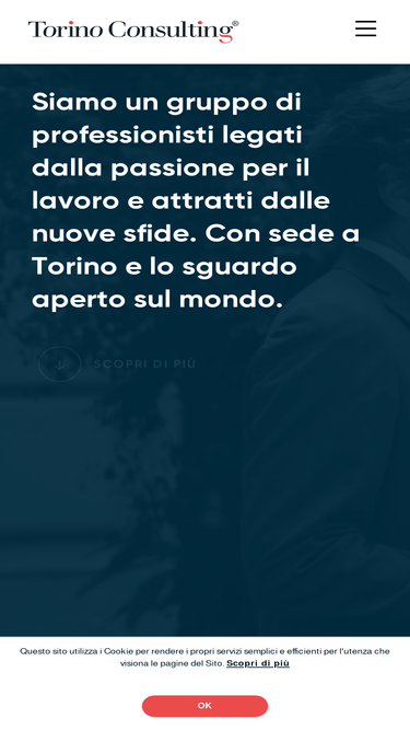torinoconsulting.it