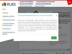 'rues.org.co' screenshot