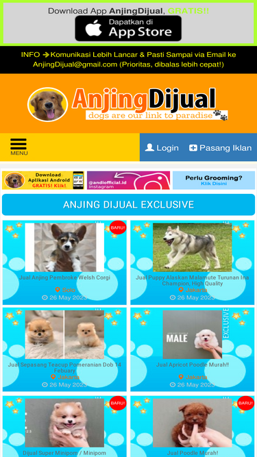 anjingdijual.com