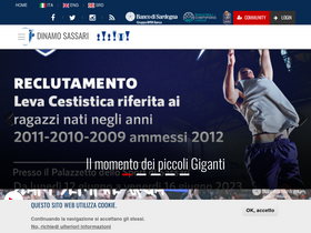 'dinamobasket.com' screenshot