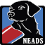 shop.neads.org