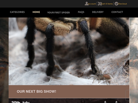 'thespidershop.co.uk' screenshot
