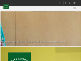 'opaef.es' screenshot
