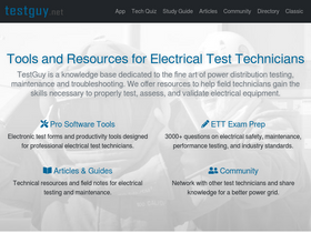 'testguy.net' screenshot