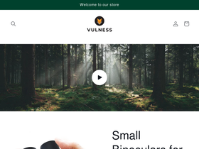 vulness.com homepage screenshot