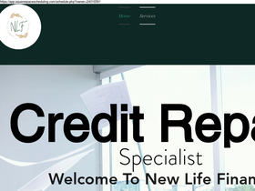 1newlifefinancial.com homepage screenshot