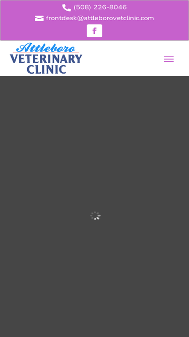 attleborovetclinic.com