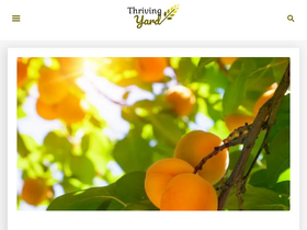 'thrivingyard.com' screenshot