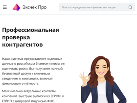 'excheck.pro' screenshot