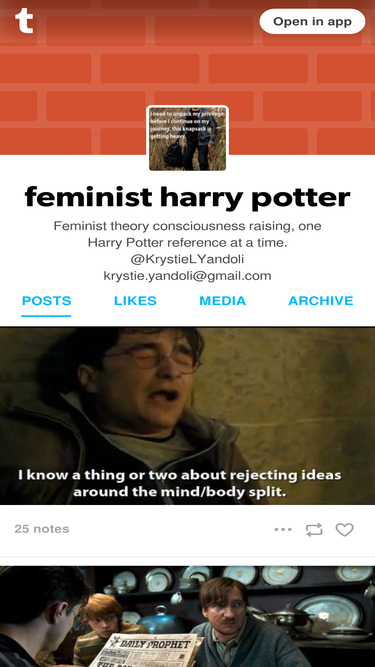 feministharrypotter.tumblr.com