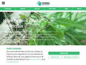 'cannaconnection.com' screenshot
