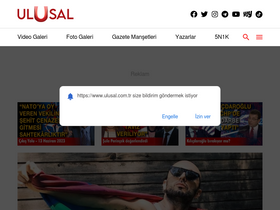 'ulusal.com.tr' screenshot