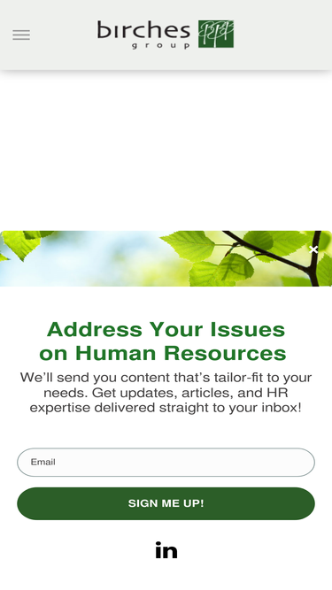 birchesgroup.com
