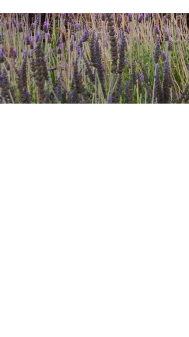 harmonyinthegarden.com